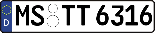 MS-TT6316