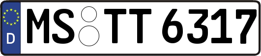 MS-TT6317