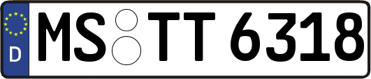 MS-TT6318