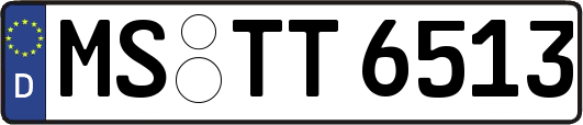 MS-TT6513