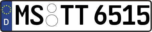 MS-TT6515