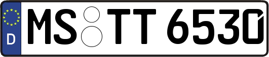 MS-TT6530