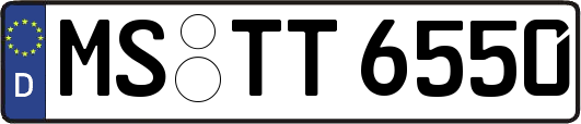 MS-TT6550