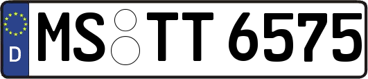 MS-TT6575
