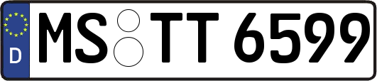 MS-TT6599