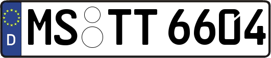 MS-TT6604