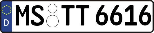 MS-TT6616
