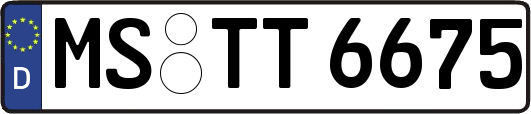 MS-TT6675