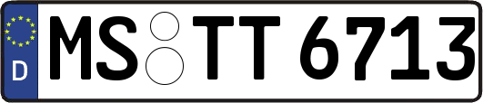 MS-TT6713