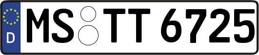 MS-TT6725