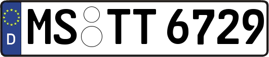 MS-TT6729