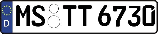 MS-TT6730