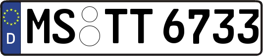MS-TT6733