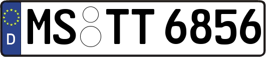 MS-TT6856