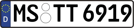 MS-TT6919