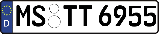MS-TT6955