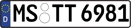 MS-TT6981