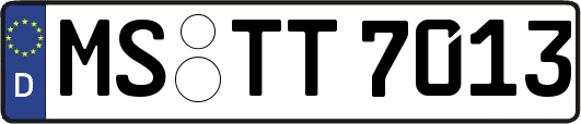 MS-TT7013