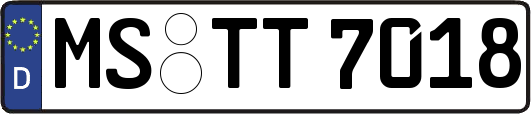 MS-TT7018