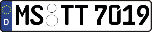 MS-TT7019