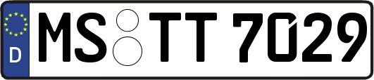 MS-TT7029