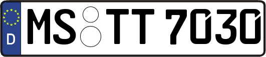 MS-TT7030