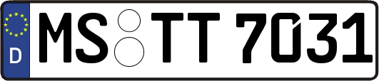 MS-TT7031