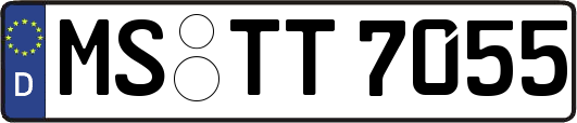 MS-TT7055