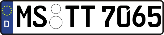 MS-TT7065