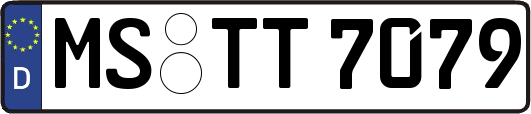 MS-TT7079