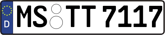 MS-TT7117