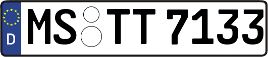 MS-TT7133