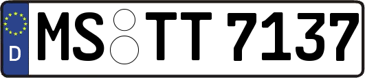 MS-TT7137