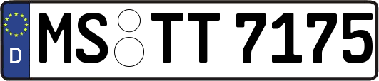 MS-TT7175