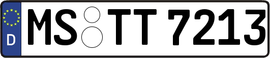 MS-TT7213