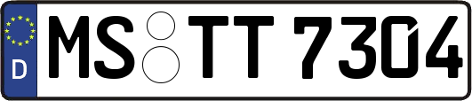 MS-TT7304