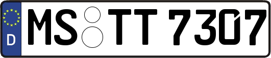 MS-TT7307