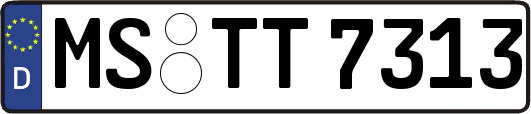MS-TT7313