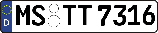 MS-TT7316