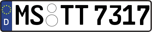 MS-TT7317