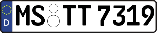 MS-TT7319