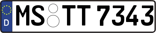 MS-TT7343
