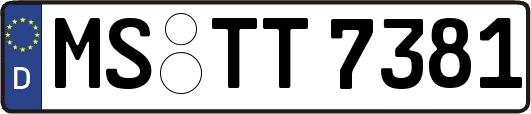 MS-TT7381