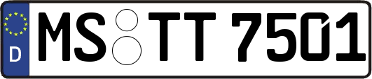 MS-TT7501