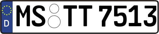 MS-TT7513