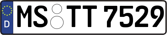 MS-TT7529