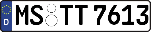 MS-TT7613