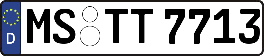 MS-TT7713