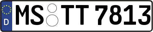 MS-TT7813