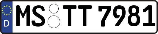 MS-TT7981